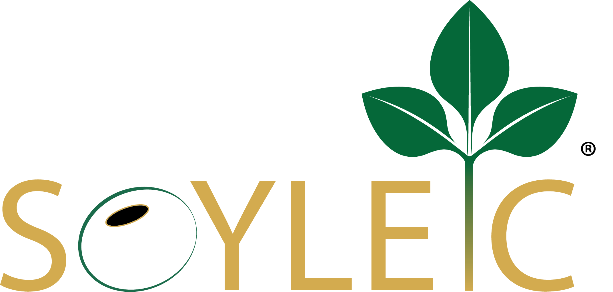 SOYLEIC