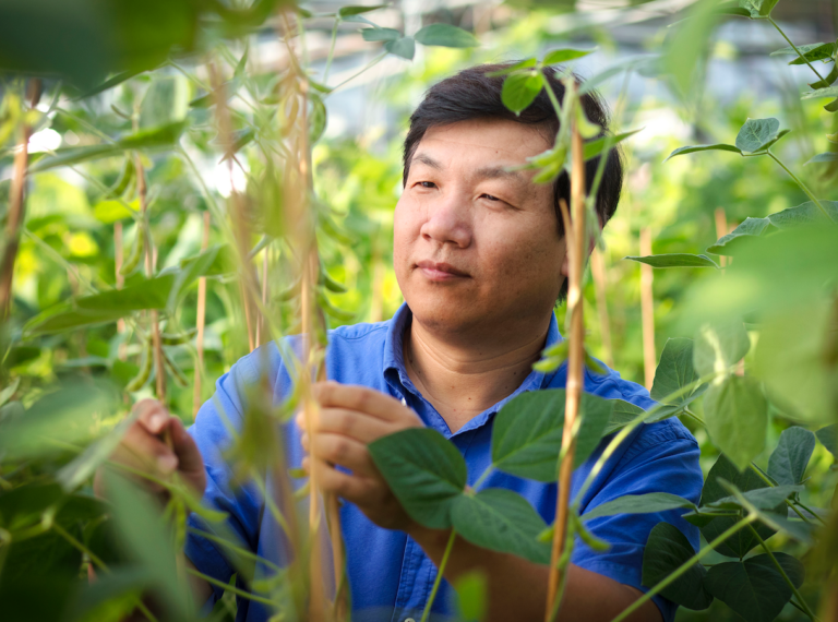 Missouri Soybean Executes First Ever High Oleic University License