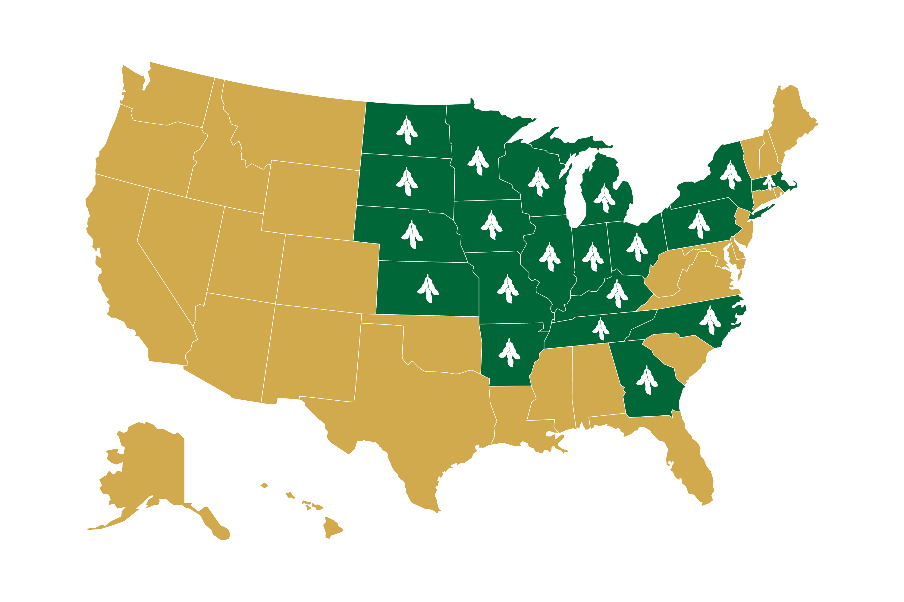 U.S. Map indicating where Soyleic is grown. Soyleic is grown in these states: Arkansas, Georgia, Illinois, Indiana, Iowa, Kansas, Kentucky, Massachusetts, Michigan, Minnesota, Missouri, Nebraska, New York, North Carolina, North Dakota, Ohio, Pennsylvania, South Dakota, Tennessee and Wisconsin